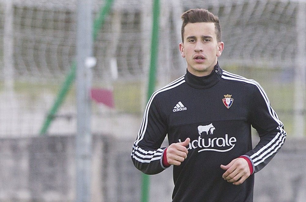 Álex Berenguer podría dejar Osasuna por el Nápoles. Osasuna