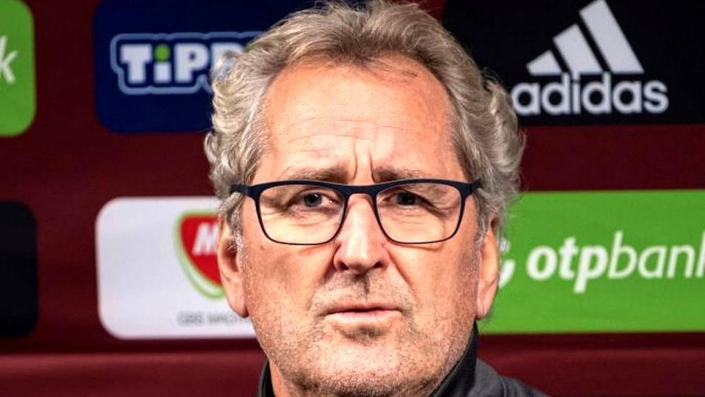 Erik Hamrén has been sacked. EFE