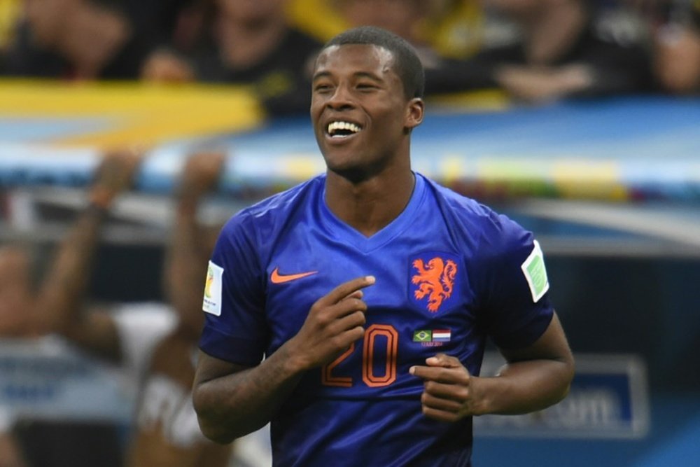 Georginio Wijnaldum, pictured here playing for the Netherlands at the 2014 World Cup in Brazil