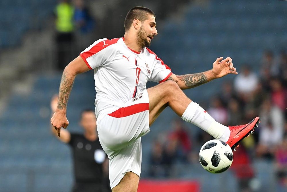 Mitrovic espera marcar à Suíça. Goal