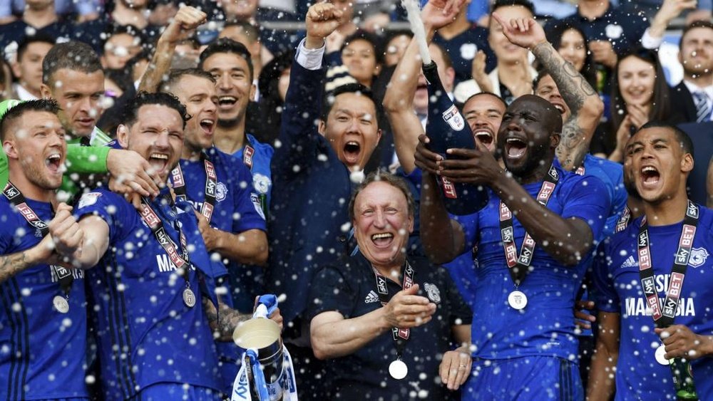 Cardiff City secure their spot in the Premier League. GOAL