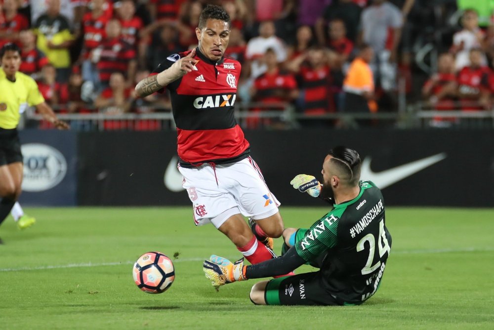 Flamengo e Chapecoense duelam neste domingo. Goal