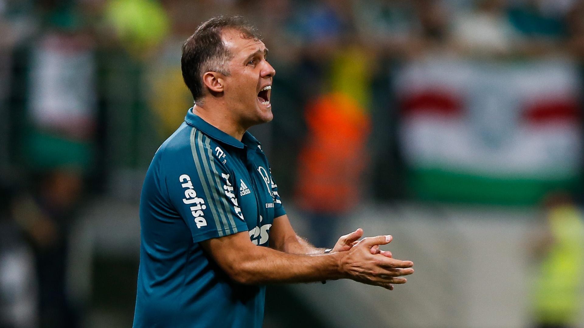 Técnico do Palmeiras lamentou falhas na finalização. Goal