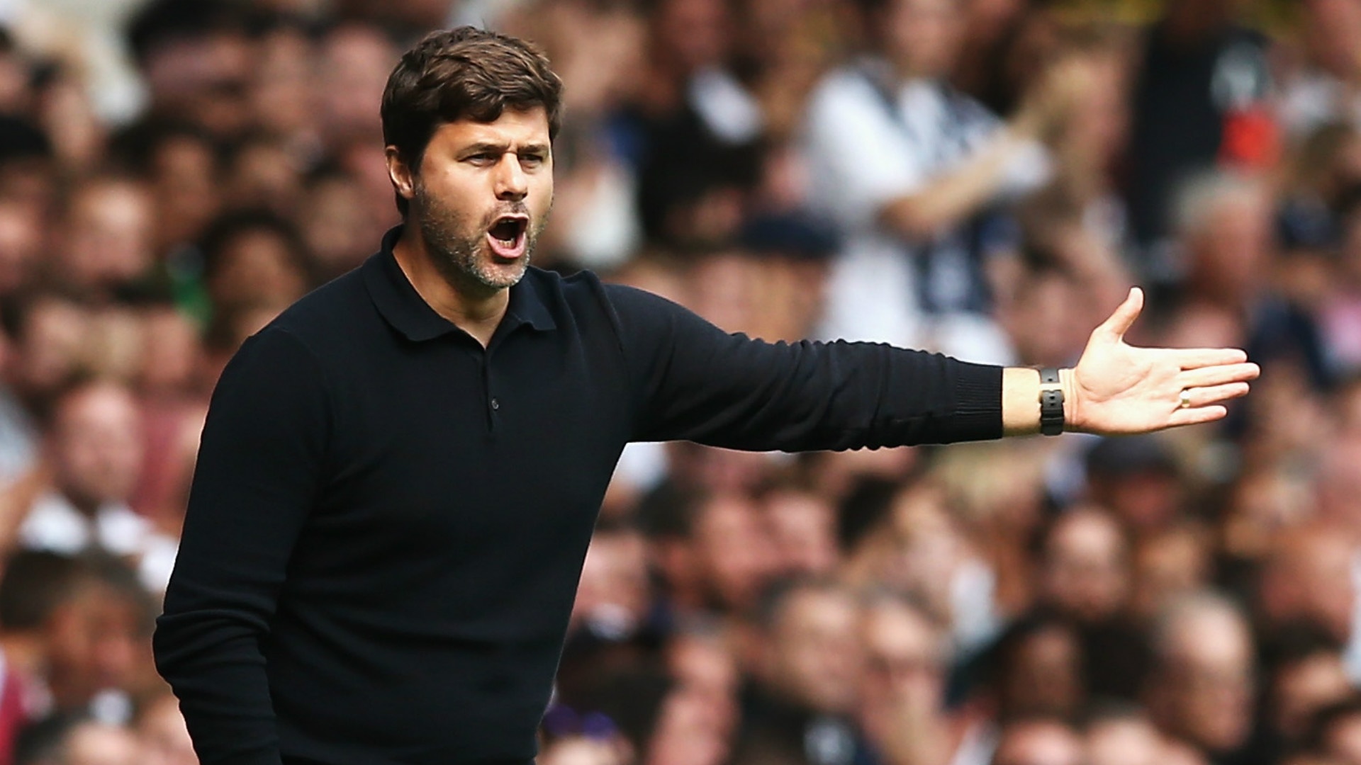 Without a whimper: Tottenham and Pochettino owe fans a European fight