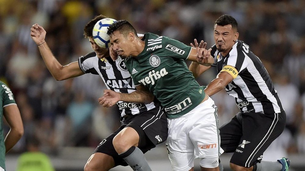 Botafogo 1 x 1 Palmeiras: Verdão sai na frente, mas Bota busca o empate no fim no Engenhão