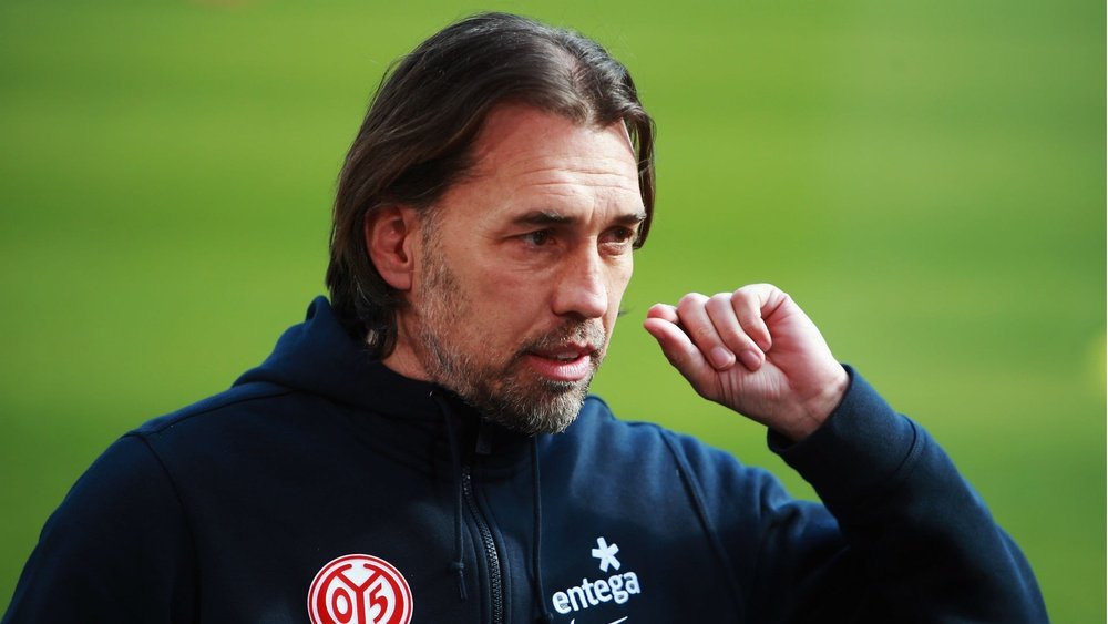 Martin Schmidt, ex Coach of Mainz . AFD