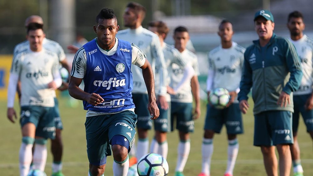 Miguel Borja Palmeiras treino
