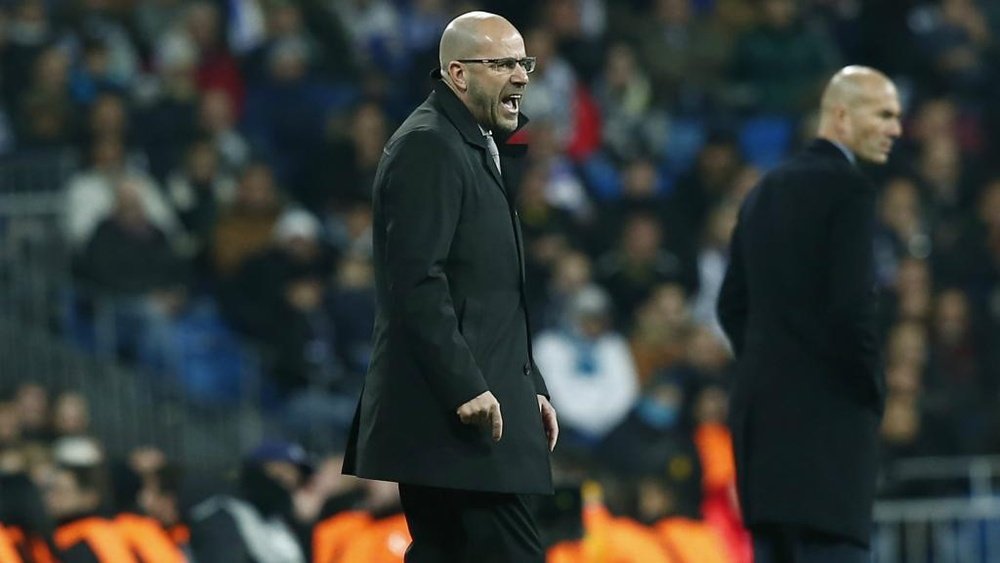 Bosz: I don't think you can call Madrid Champions League favourites