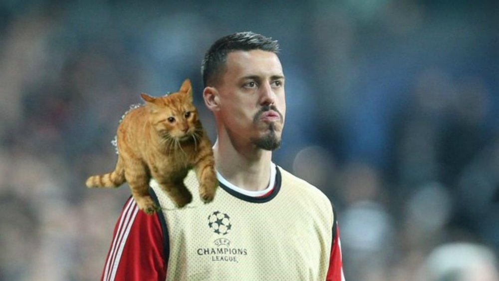 The cat was named man of the match by Bayern fans. GOAL