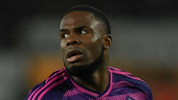 Sunderland striker Anichebe out for up to 10 weeks