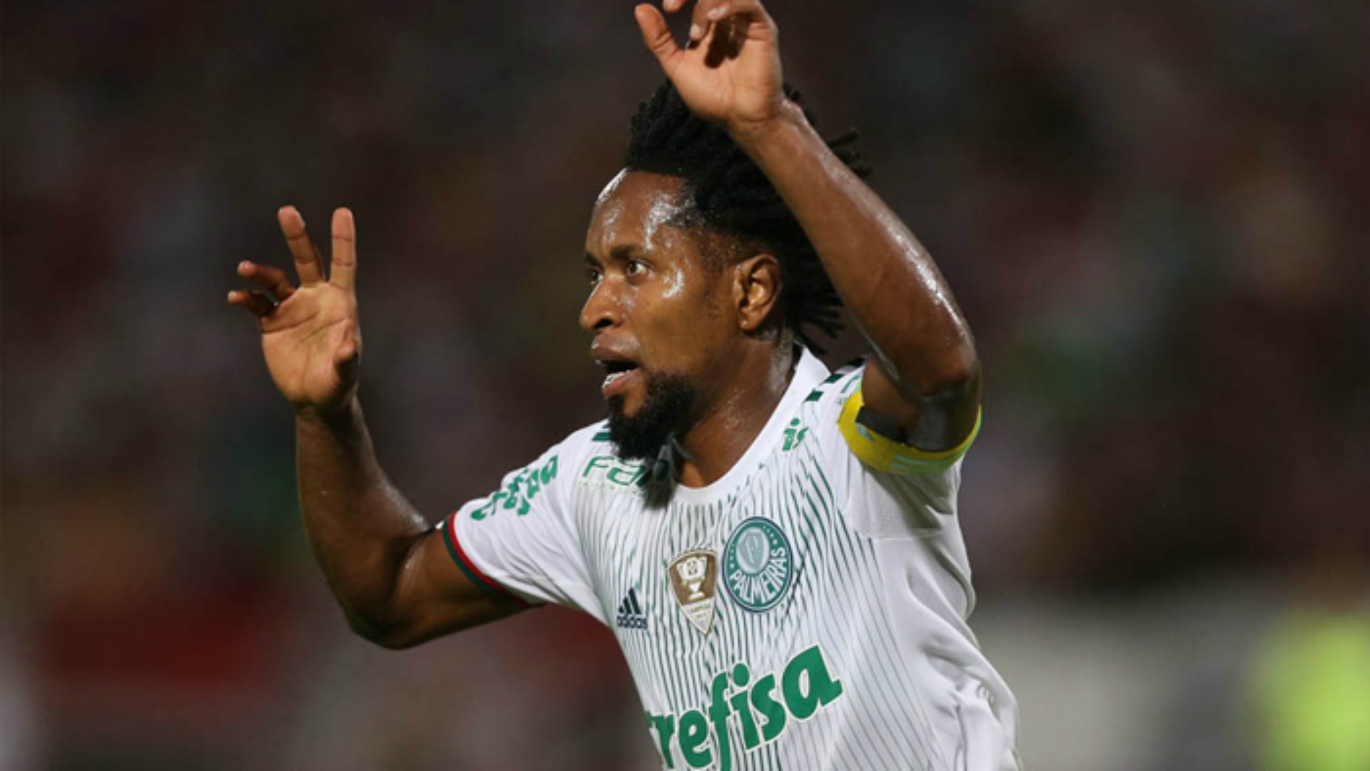 ZÉ ROBERTO – Palmeiras