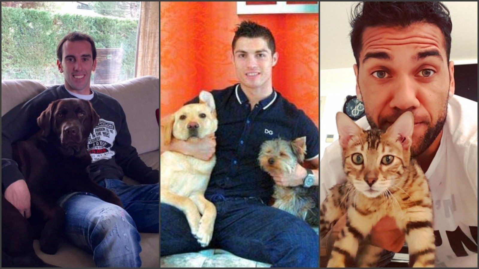 5 Weirdest Pets Owned By Popular Footballers - Newsblenda