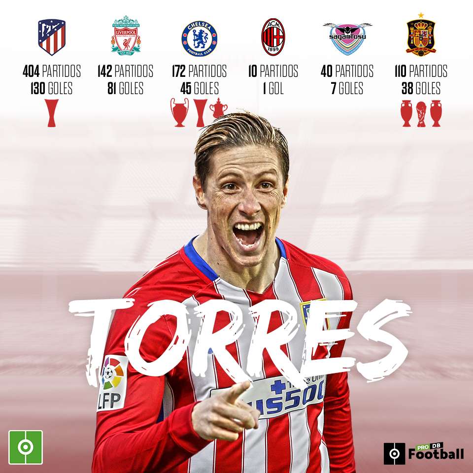 ¿Cuántos goles hizo Fernando Torres a lo largo de su carrera?