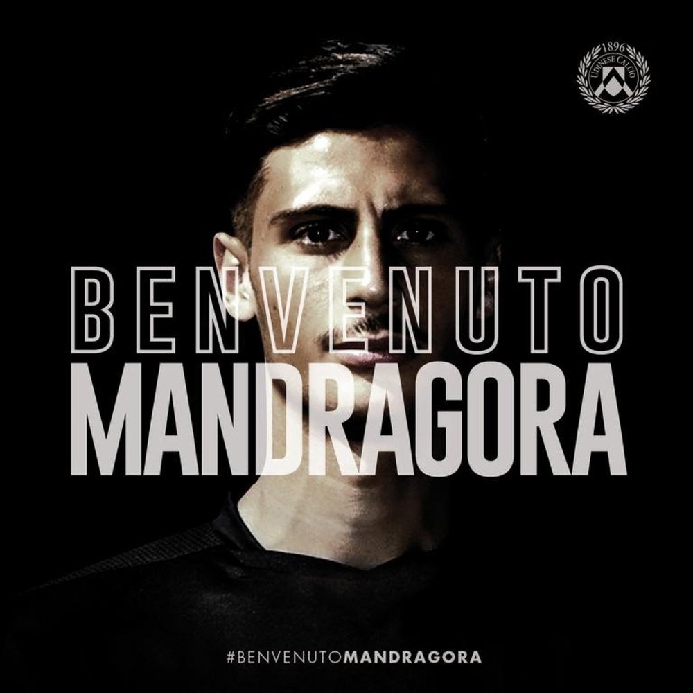 Maandragora à l'Udinese. Twitter/Udinese