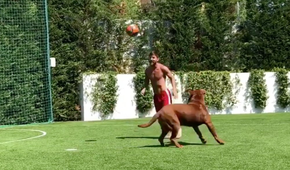 Lionel Messi s'amuse avec son chien. Instagram