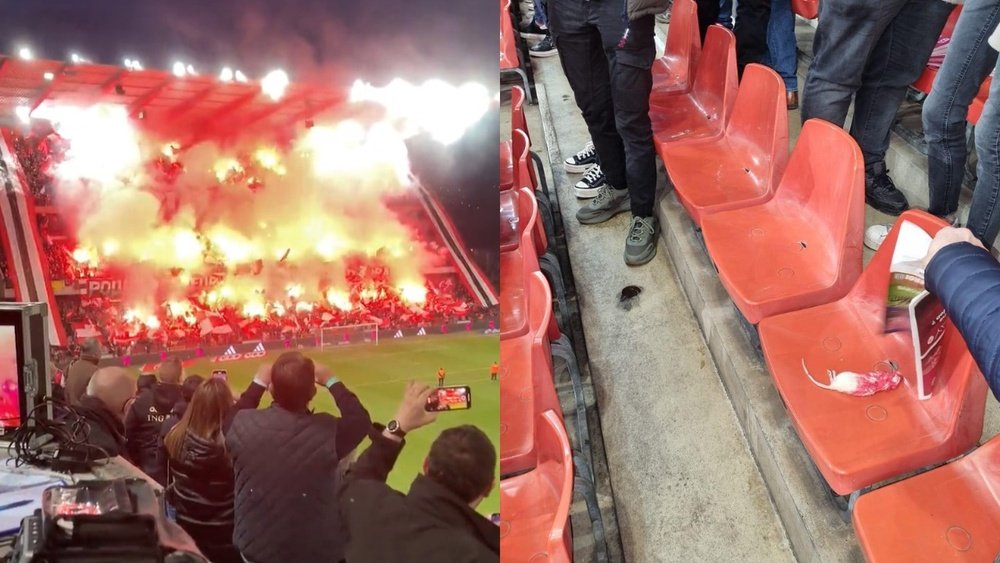Los aficionados del Charleroi lanzaron ratas muertas a la grada del Standard. Captura/Twitt
