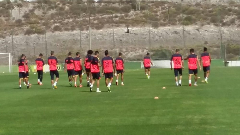 Los jugadores de Las Palmas, en un entrenamiento. UDLP