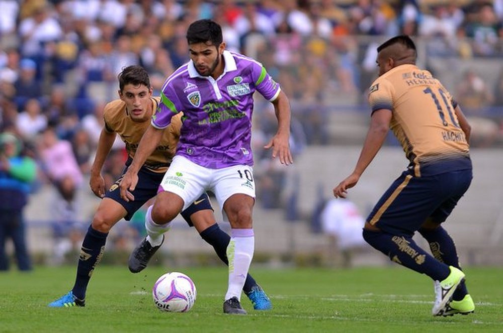 Los Pumas de la UNAM mantienen el primer lugar en el Apertura mexicano. Twitter