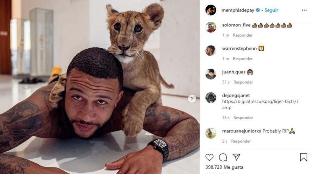 Depay subió una foto junto a un león cachorro. Instagram/memphisdepay