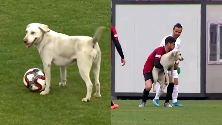 ¿El nuevo perro de Messi? ¡Con su habilidad volvió loca a la grada!