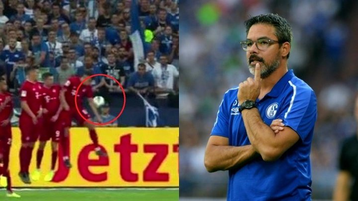 Un fan porte plainte contre l'arbitre de Schalke 04-Bayern