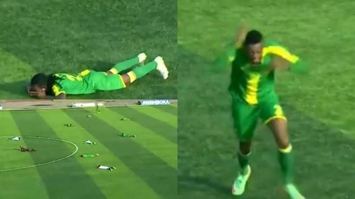 ¡Todos al suelo! Una bandada de avispas interrumpió un partido en Tanzania