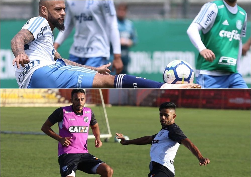 Palmeiras e Ceará se enfrentam pela 30ª rodada do Campeonato Brasileiro. Collage/Twitter