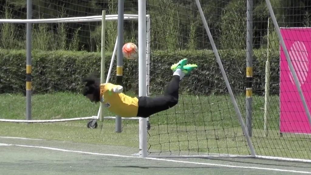 Higuita, el rey escorpión. DUGOUT