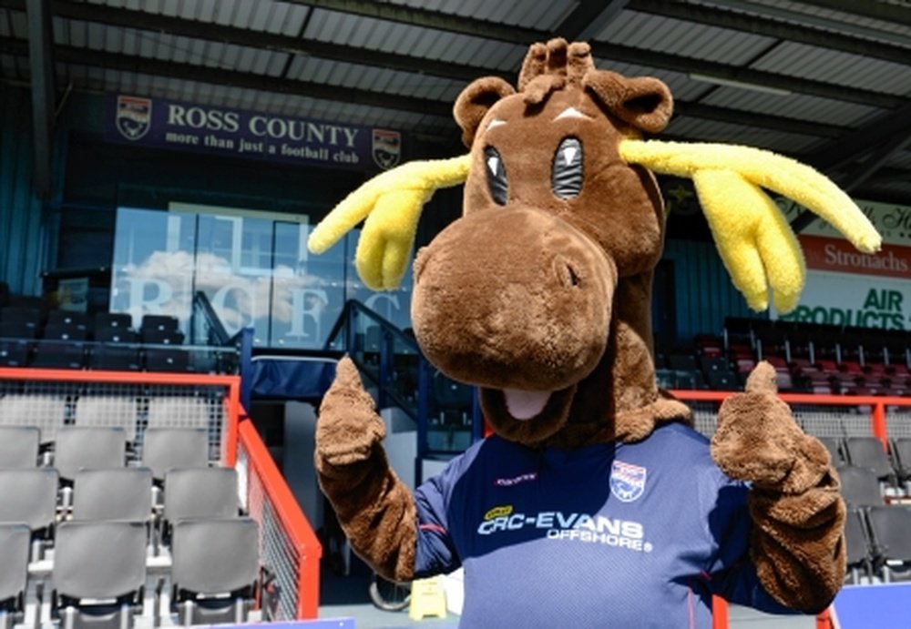 Ross County FC are feeling stupid after accidentally deleting their club's official website. RossShireJournal