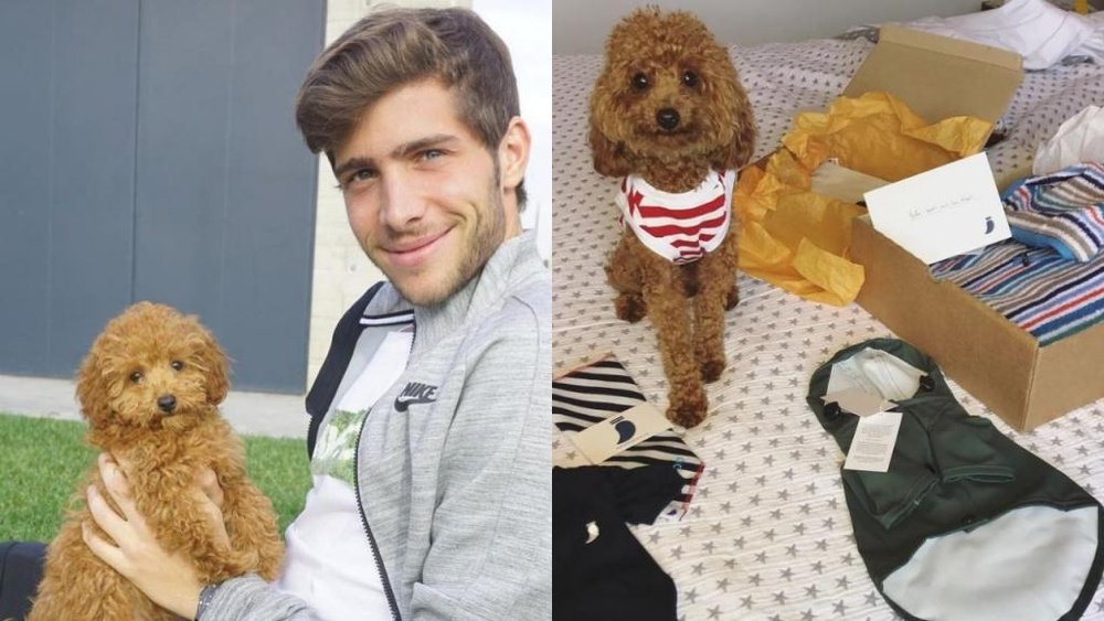 El perro de Sergi Roberto es una estrella en Instagram. Instagram/Balooitsme