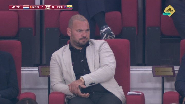 La desmejorada imagen de Sneijder, que vio en directo el Países Bajos-Ecuador
