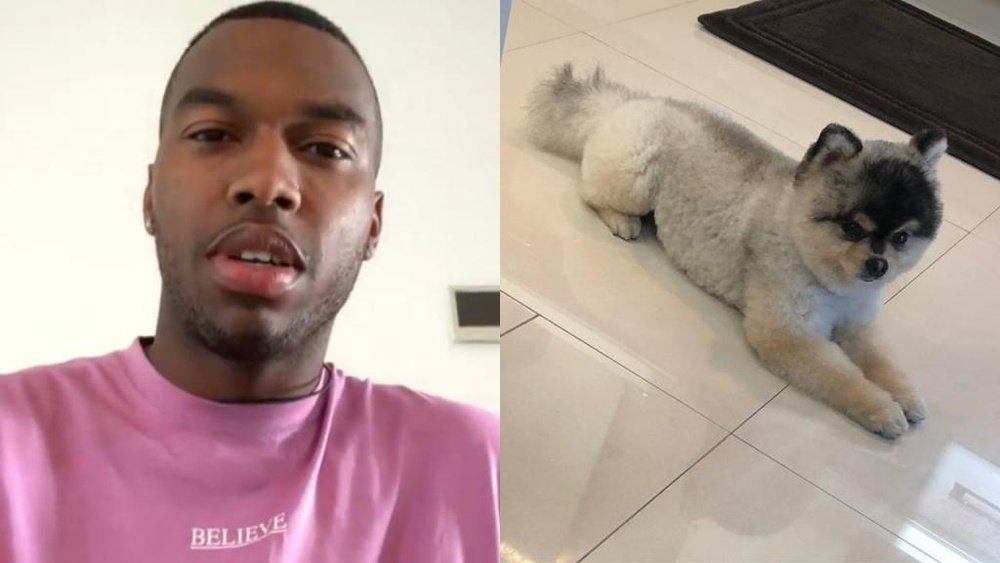 Sturridge recuperó a su perro... ¡y no pagó la recompensa! Instagram/danielsturridge