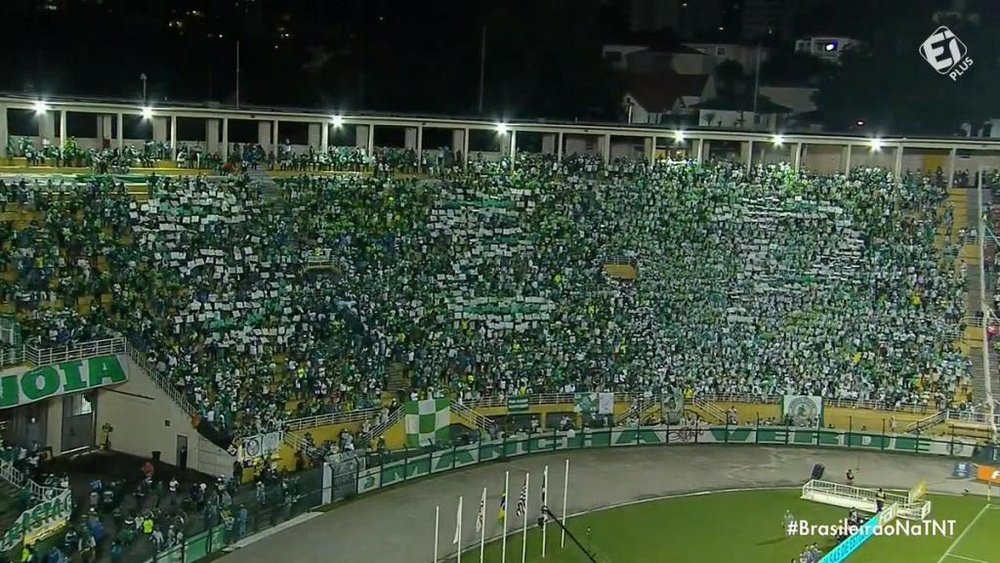 Tentativa de mosaico do Palmeiras na partida contra o Santos. Twitter @Oledobrasil