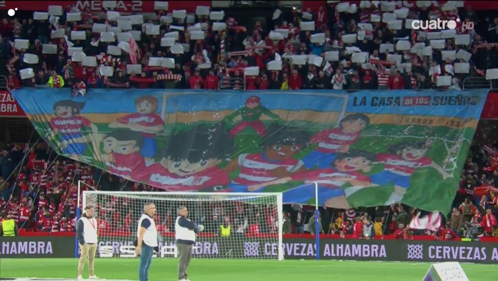 Toms del 2025 rey olive