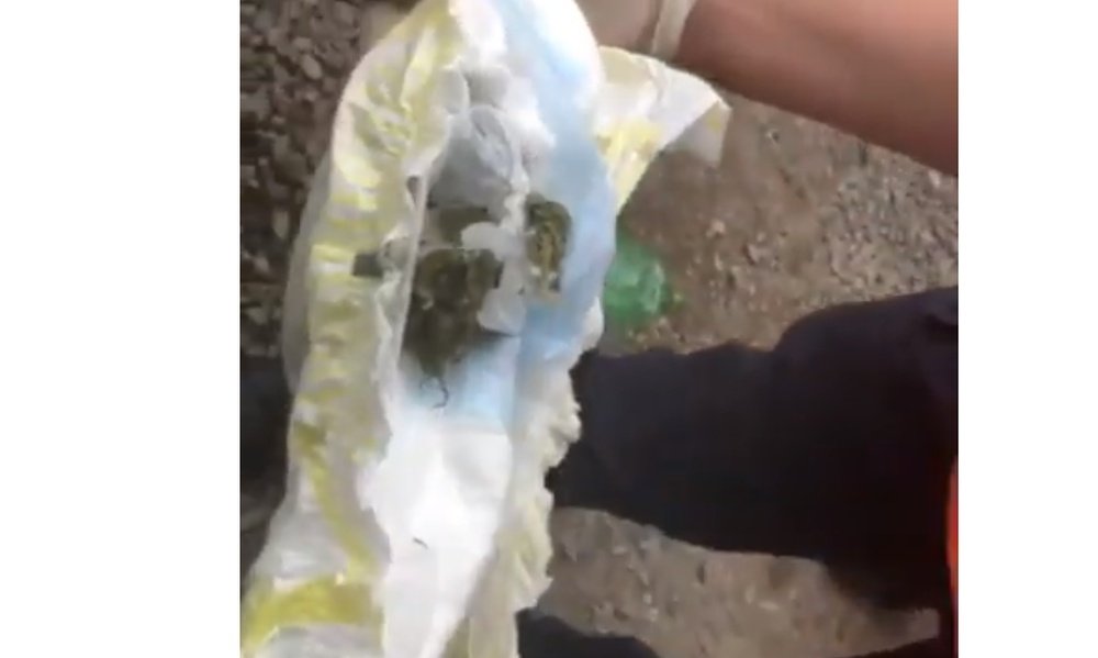 La seguridad del estadio encontró marihuana en el pañal de su hijo. Captura/LucasGladiador7