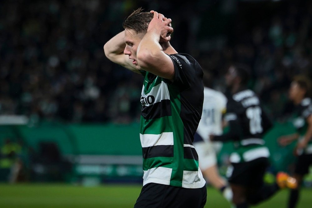 Gyokeres has been in sensational form this season. EFE