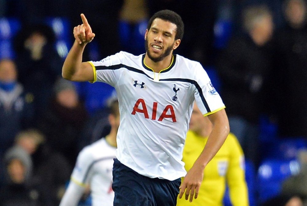 Watford have broken their transfer record to sign France midfielder Etienne Capoue, pictured on January 14, 2015, from Tottenham Hotspur