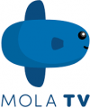 mola.tv