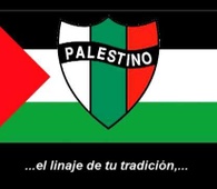 Himno de CD Palestino