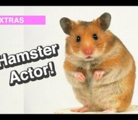 Hamster Actor! l WDF Extra