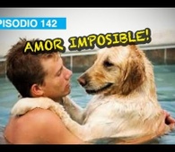 Amor Imposible!! l whatdafaqshow.com
