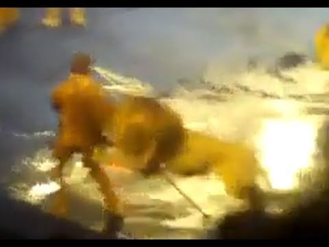 Circus Lion Attack Caught on Tape Circus in the Ukraine Video MY THOUGHTS
