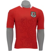 Camiseta de Gales
