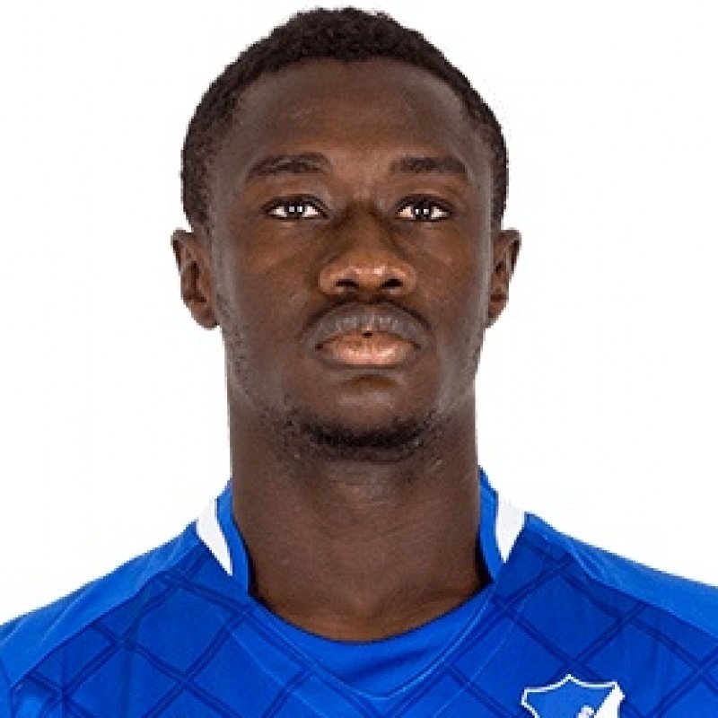 Foto principal de D. Samassekou | Hoffenheim