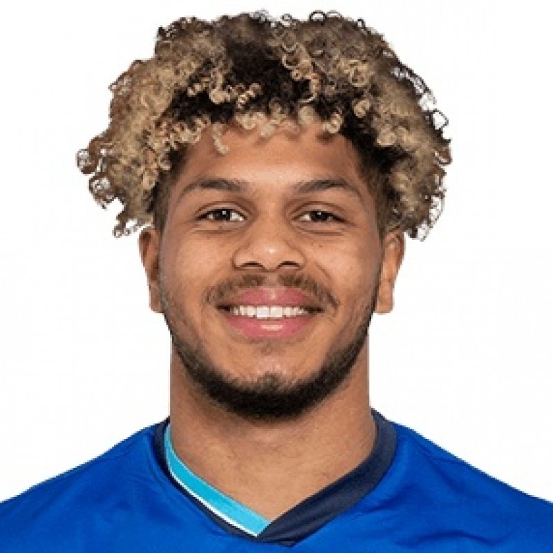 Foto principal de G. Rutter | Hoffenheim