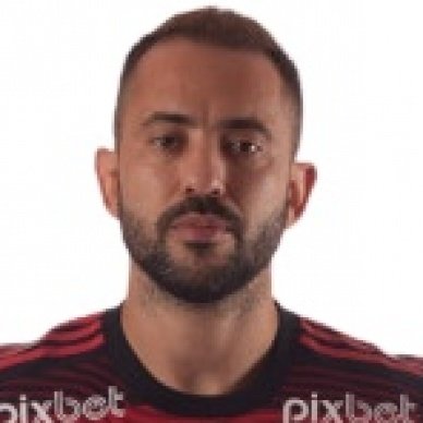 Foto principal de Éverton Ribeiro | Flamengo