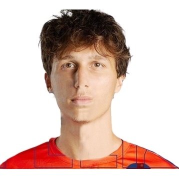 Foto principal de L. Raffaelli | Delfines Del Este