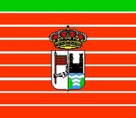 Bandera de Zamora con escudo