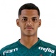 Foto principal de Juninho | Palmeiras