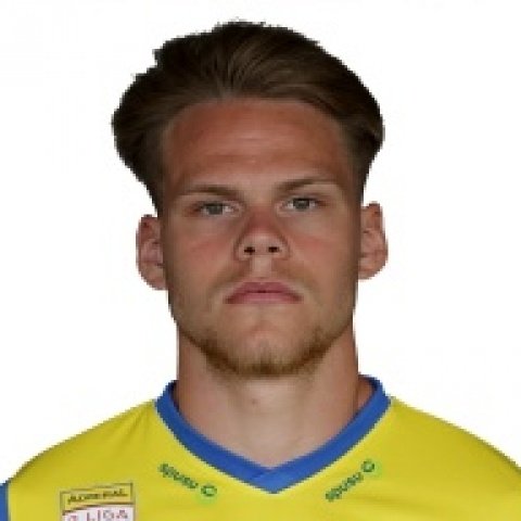 Foto principal de David Riegler | SKN St. Polten